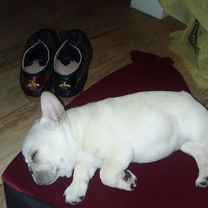 I don't have anywhere to wear them.